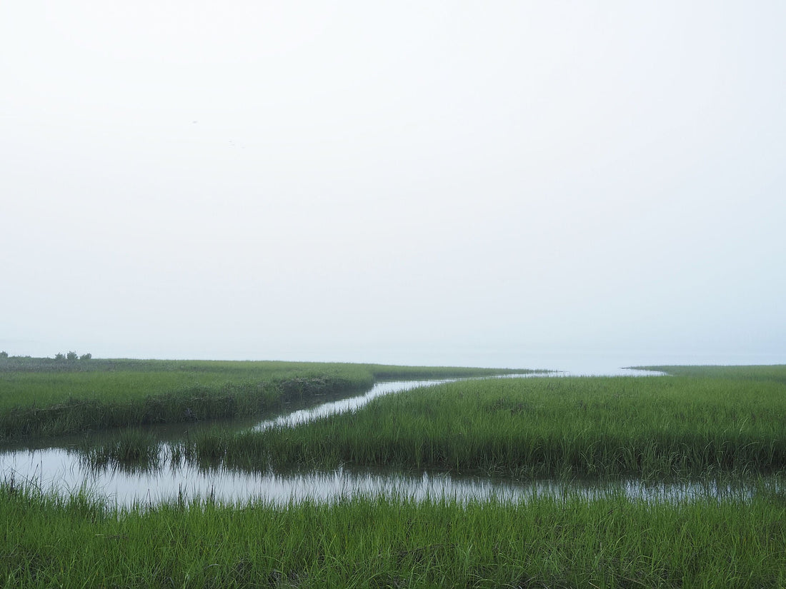 MOTHERS AND GRANDMOTHERS