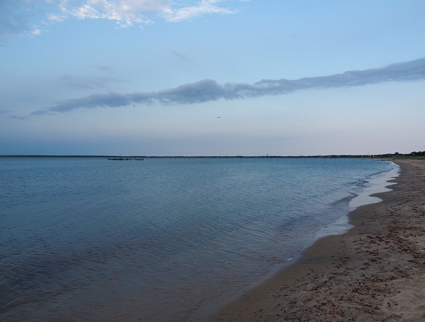 9354961